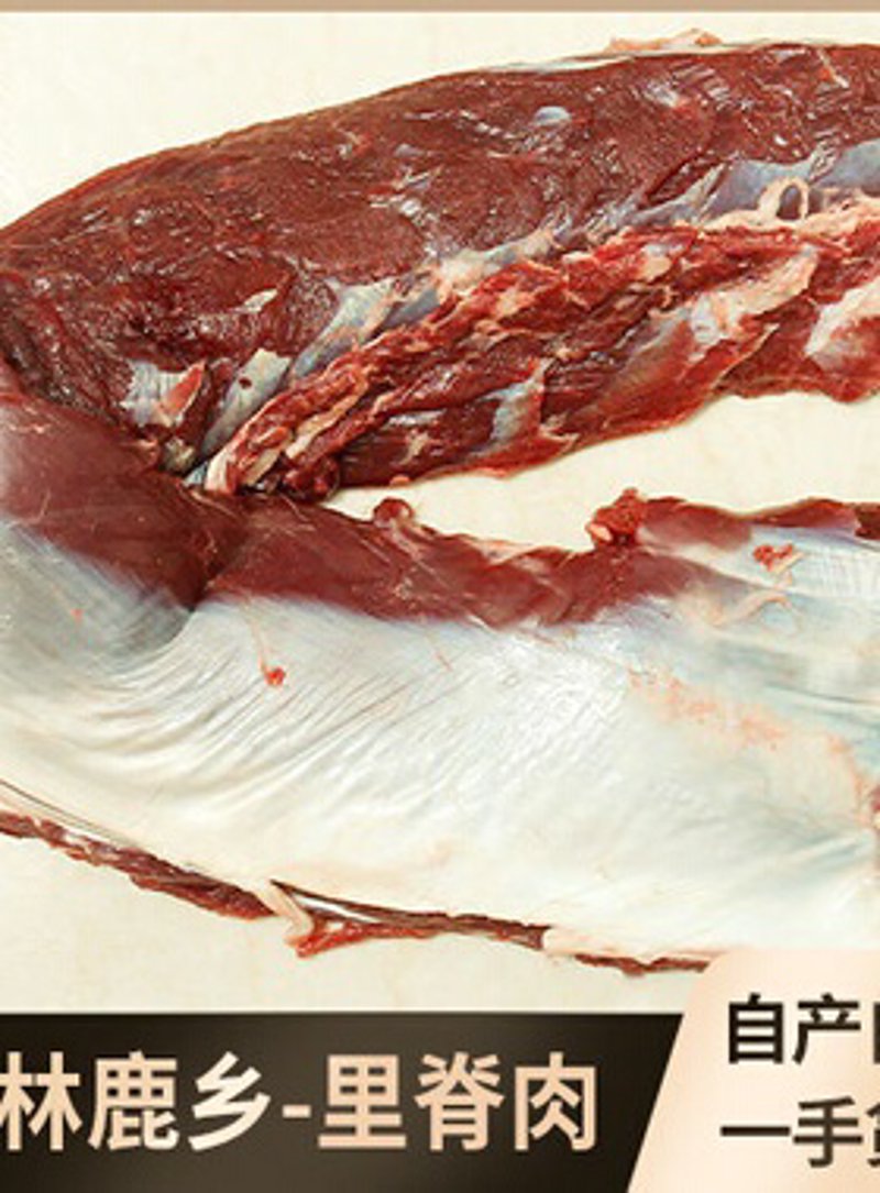 梅花鹿价格:常见问答